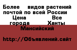 Более200 видов растений почтой по всей России › Цена ­ 100-500 - Все города  »    . Ханты-Мансийский